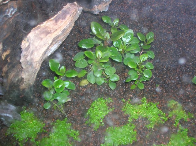 DSCN1448.JPG