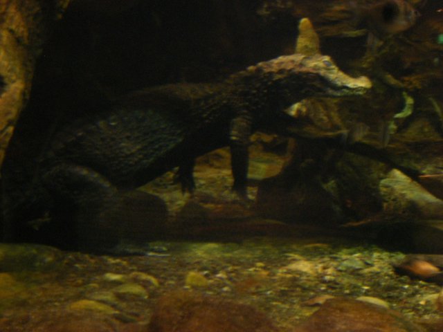 DSCF3100.jpg