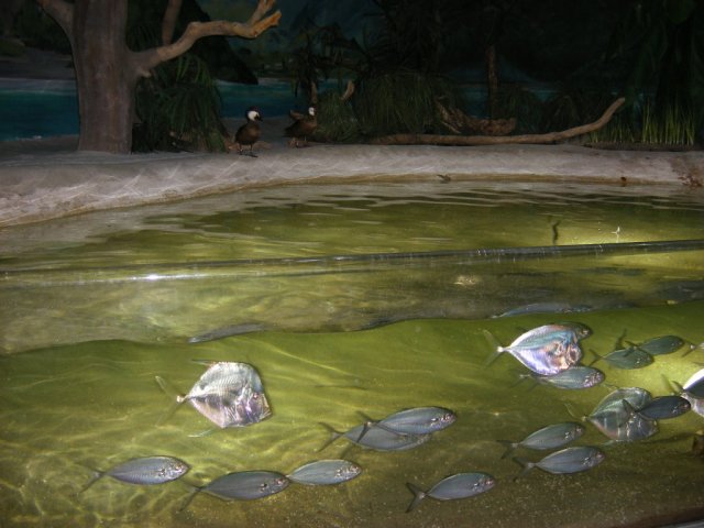 DSCF2932.jpg
