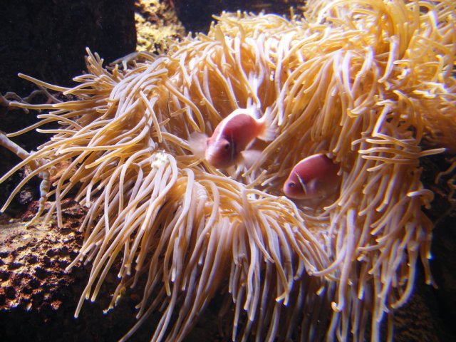 DSCF3048.jpg
