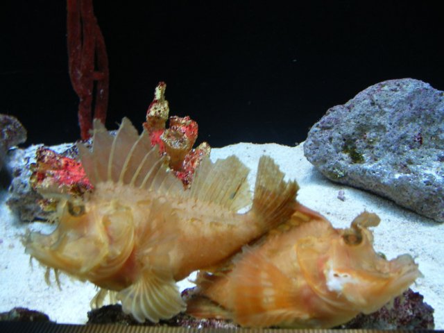 DSCF3096.jpg