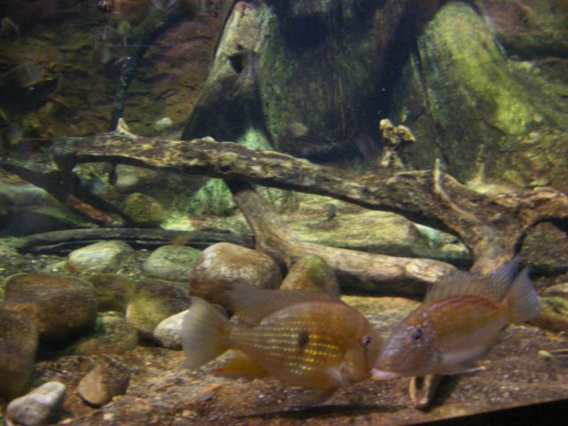 DSCF3087.jpg