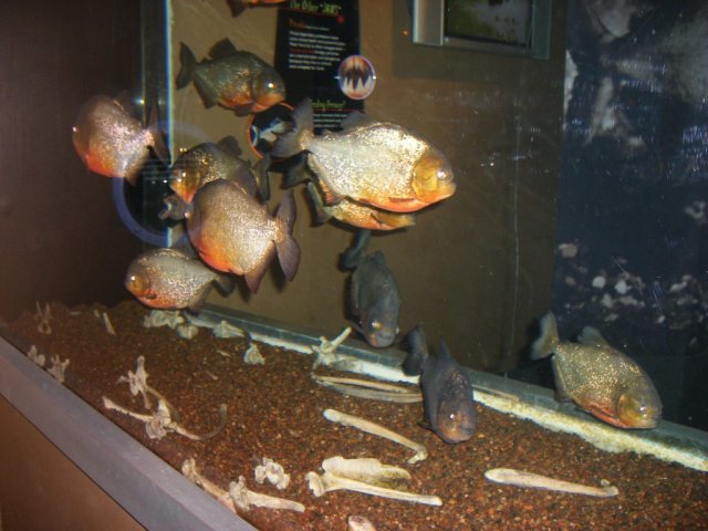 DSCF3082.jpg