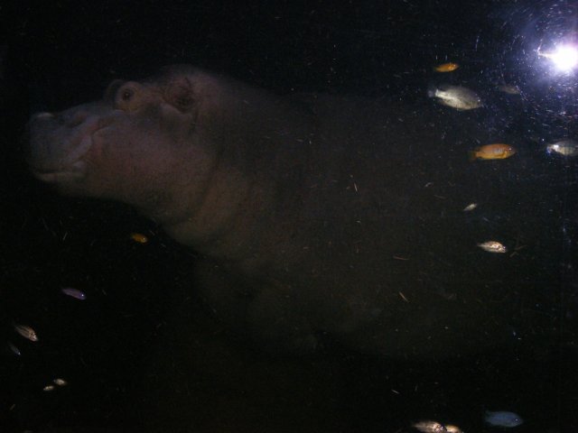 DSCF3104.jpg