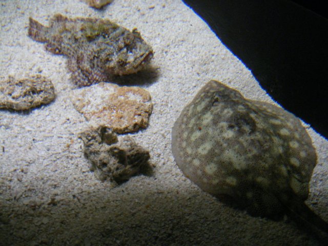 DSCF3012.jpg