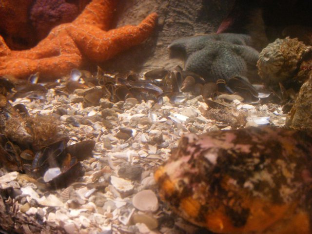 DSCF3043.jpg