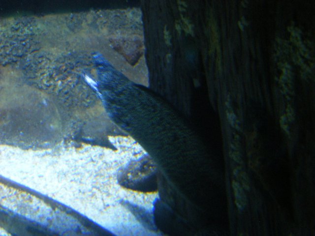 DSCF2960.jpg