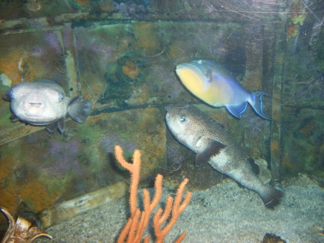 DSCF2943-1.jpg