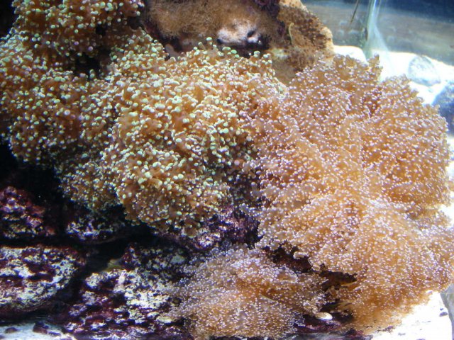 DSCF3052.jpg