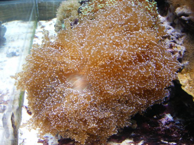 DSCF3051.jpg
