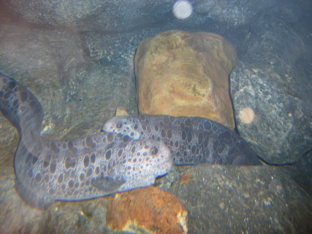 DSCF3129.jpg