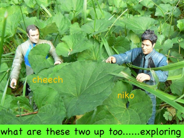002jpg-1.jpg