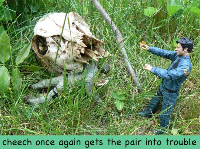 013jpg-1.jpg