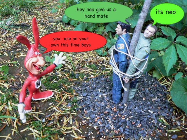 017jpg-1.jpg