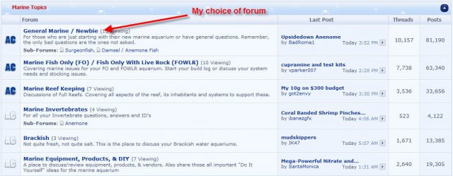 choice of forum.jpg