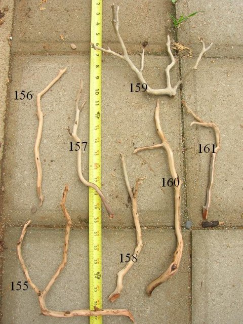 DSCN3522.JPG