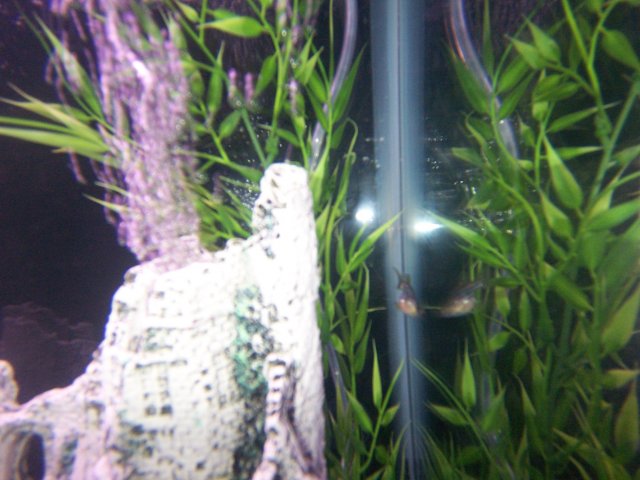 100_2655.jpg