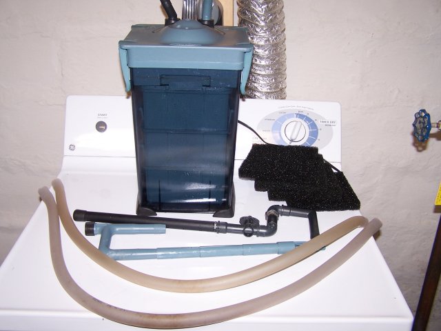 100_2403.jpg