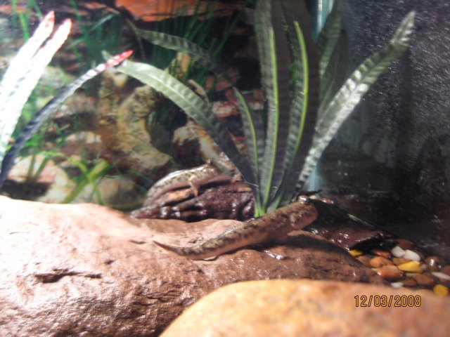 IMG_1325.JPG