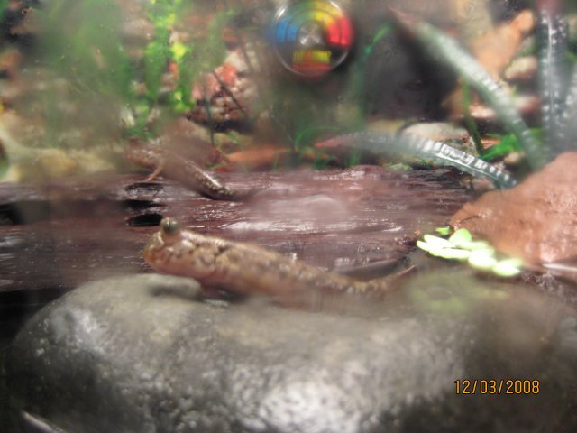 IMG_1328.JPG