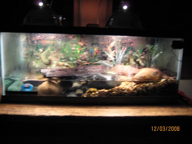 IMG_1332.JPG