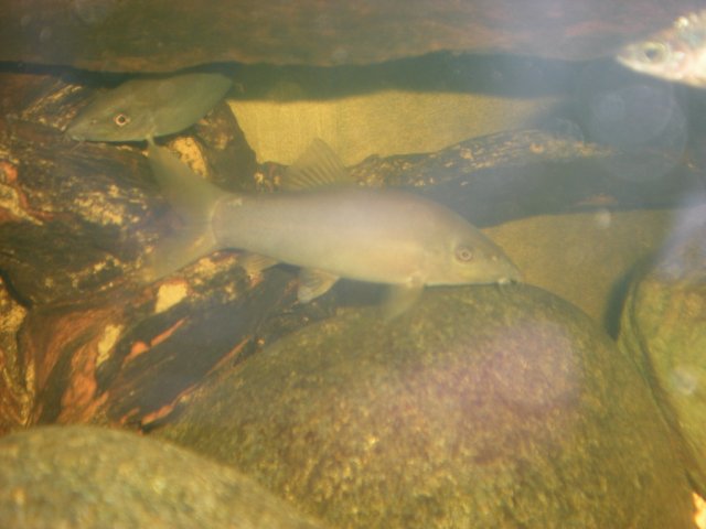 DSCN0151.JPG