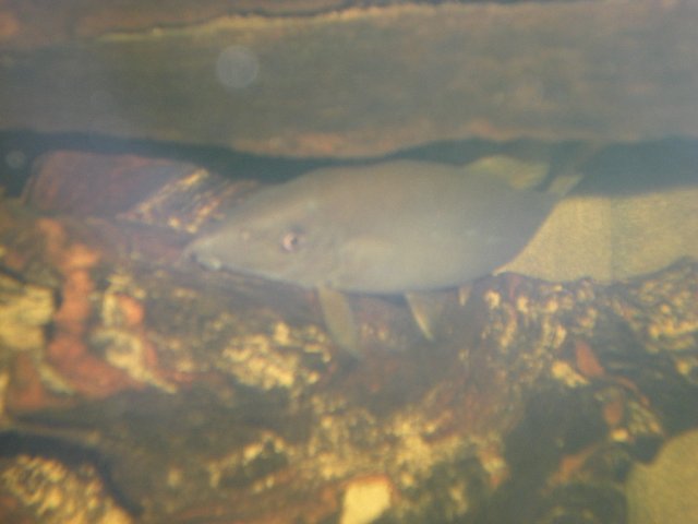 DSCN0153.JPG