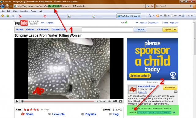 youtube.jpg youtube.jpg