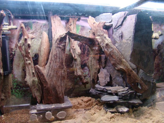 DSC00865.JPG
