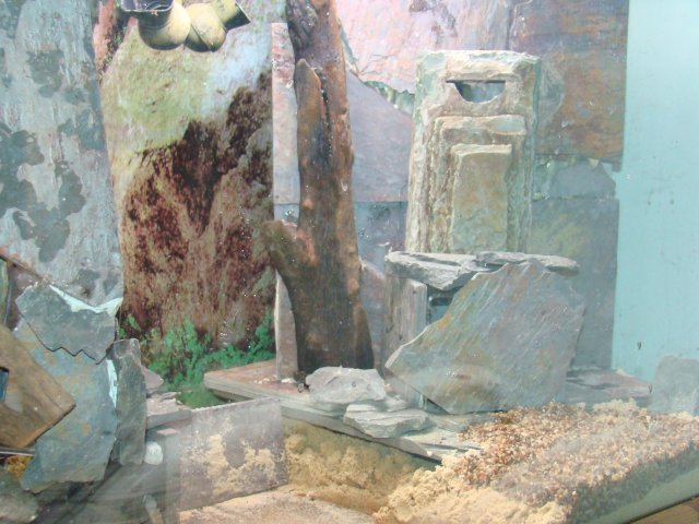 DSC00867.JPG