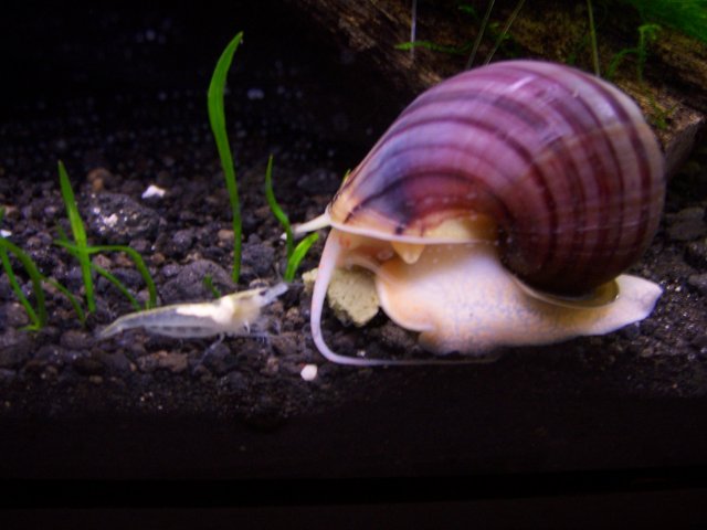 fish 084.jpg