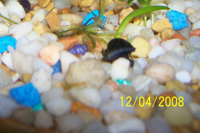 000_1431.jpg