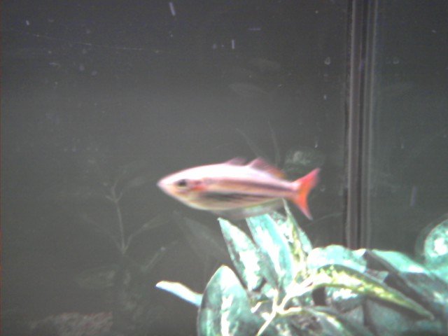 1204081456.jpg