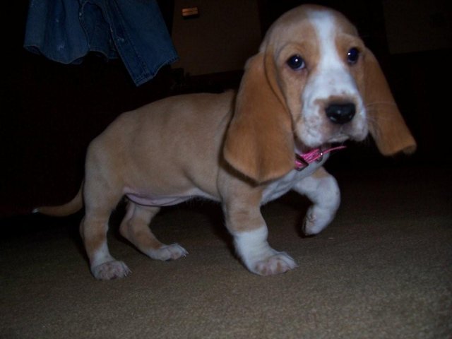 Sally Ann 1.jpg