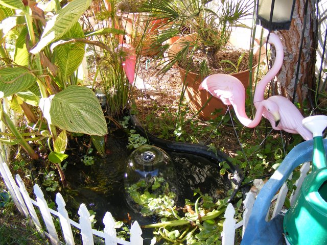12-06-2008 032.jpg
