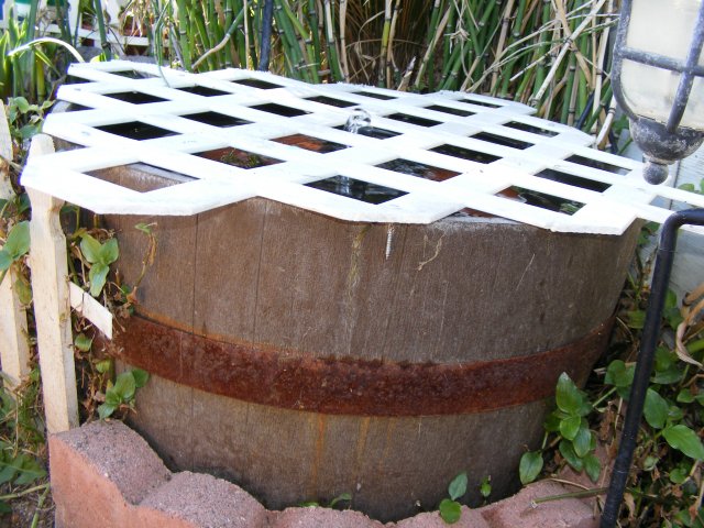 12-06-2008 033.jpg