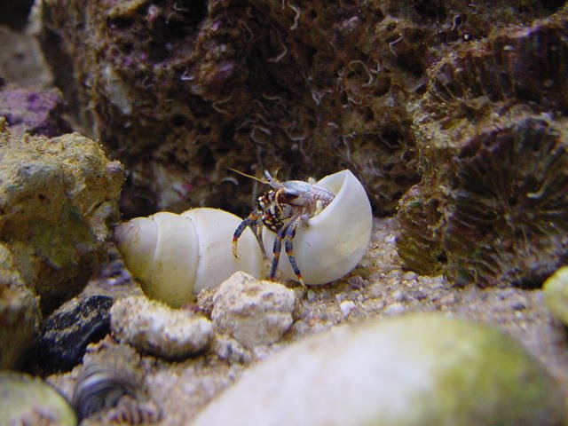DSC04338.JPG