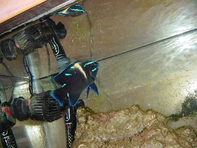 DSC04314.JPG