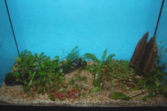 DSC_0093.JPG DSC_0093.JPG