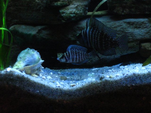 IMG_0567.JPG