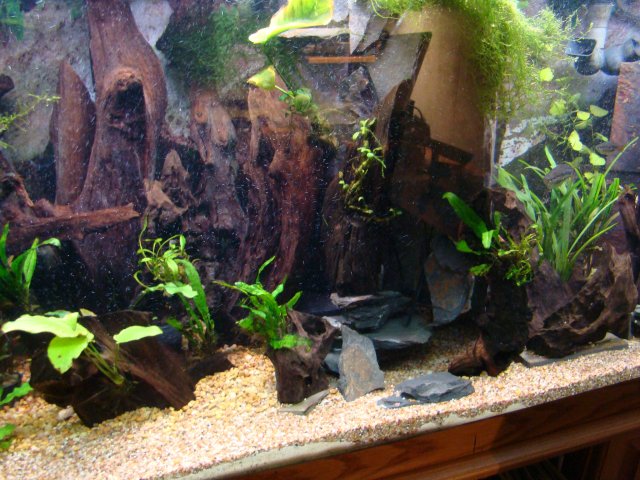 1209 tank pics 030.jpg