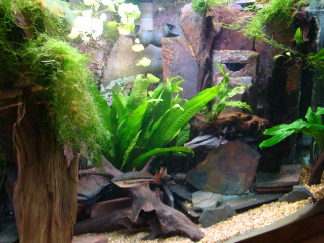 1209 tank pics 033.jpg