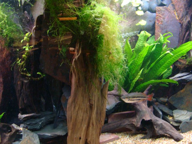 1209 tank pics 035.jpg