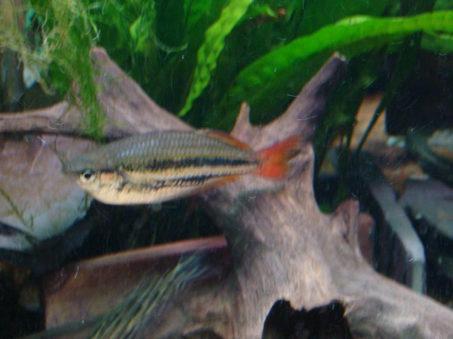 1209 tank pics 036.jpg