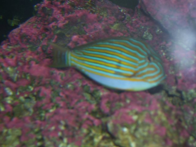 tang 001.jpg
