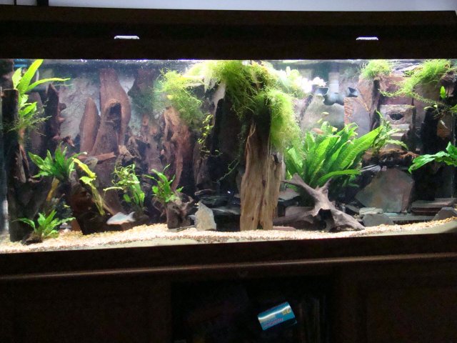 12 09 discus =tank 032.jpg