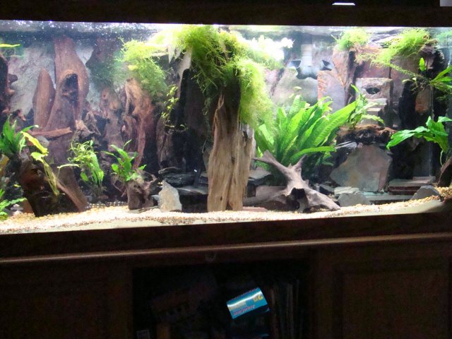12 09 discus =tank 033.jpg