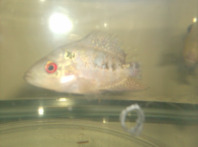HPIM0498.JPG