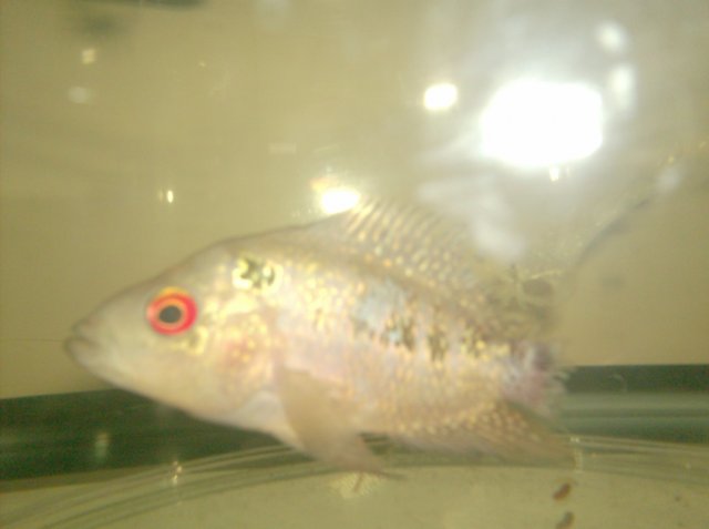 HPIM0502.JPG HPIM0502.JPG