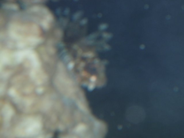PC100008.JPG